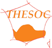 THESOC